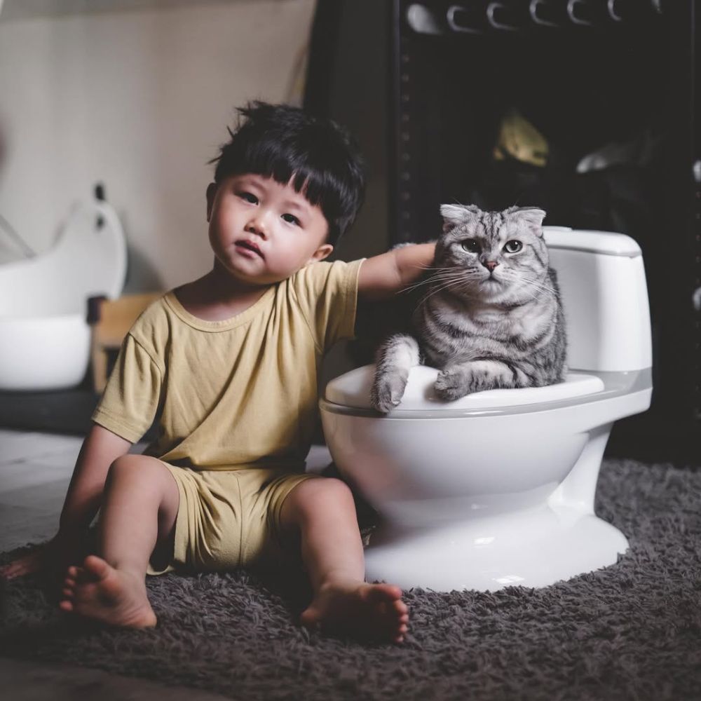 トイトレの悩みを解決!子どもの「できた!」を応援する魔法の補助便座✨